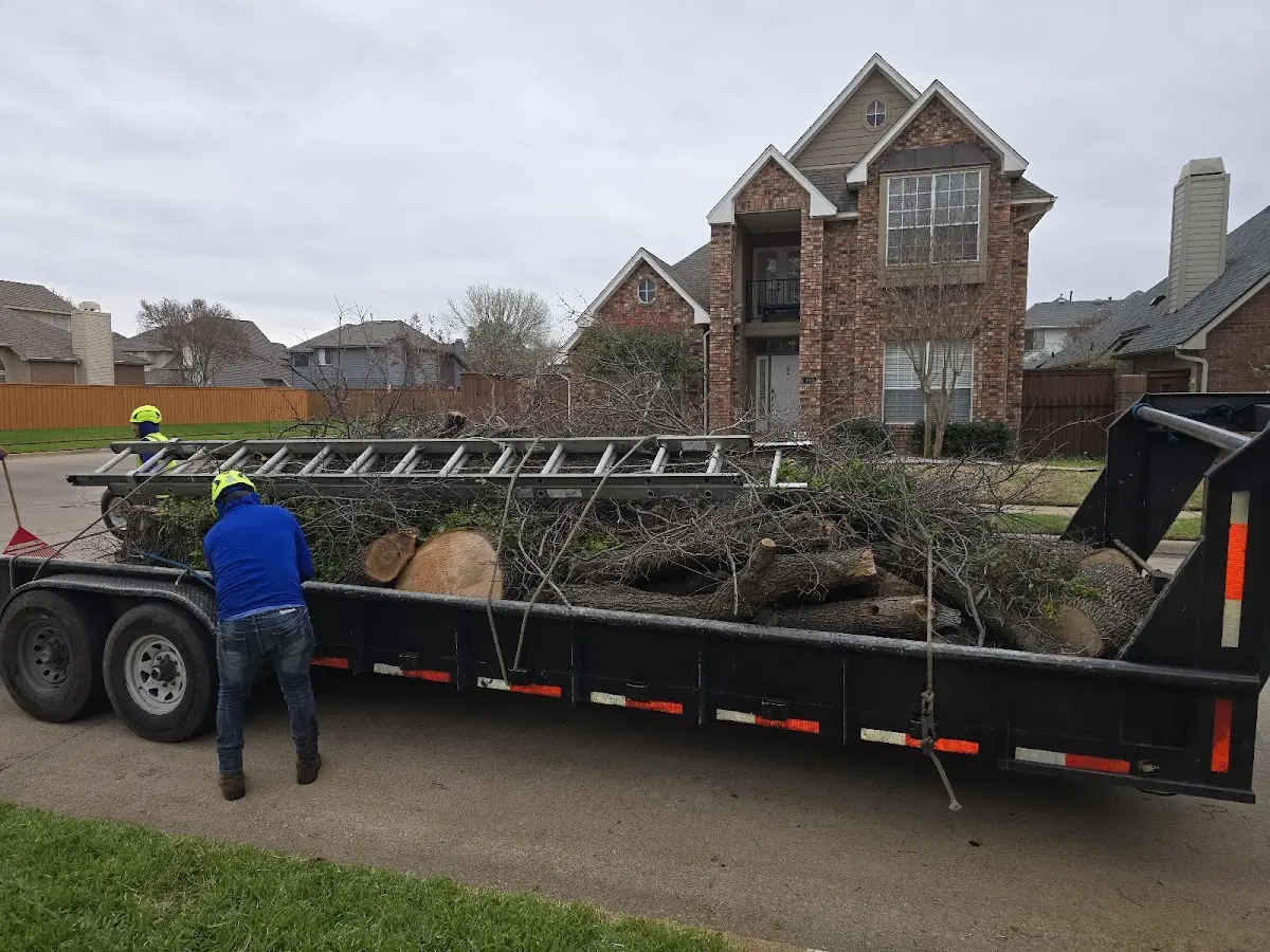 Expert Lot Clearing with proper safety equipment in Crandall
